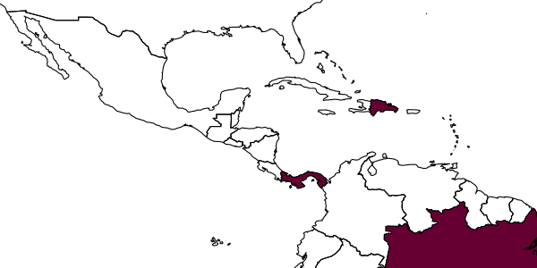 map of Aphelopus tschirnhausi     Olmi, 2011
